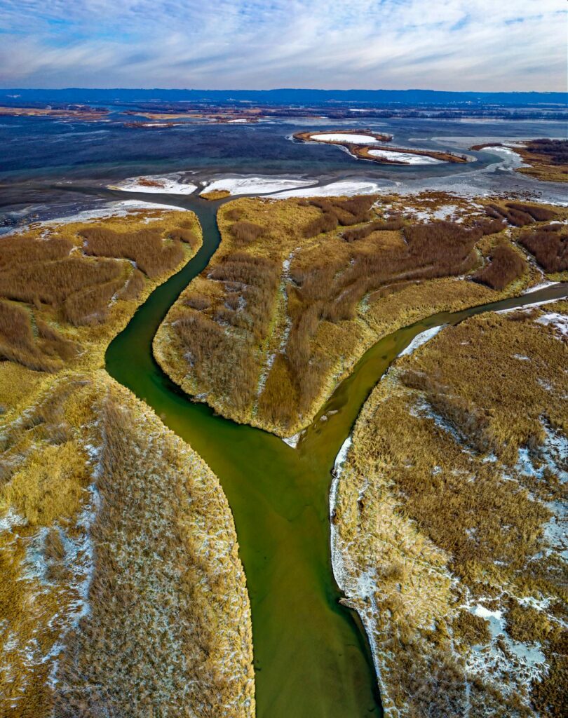 River Delta